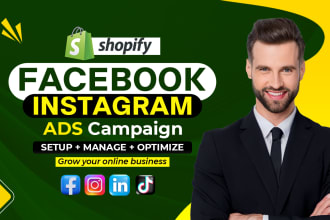 set up high converting shopify facebook ad instagram ads campaigns