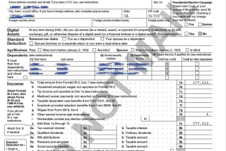 minimize your US tax filings 1040 1065 1120 returns