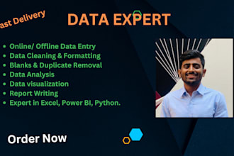 do data analysis, visualization with python, powerbi, excel