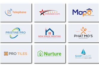 design 3 professional timeless business logo in 24 hours