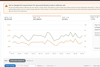 administer european USA amazon ppc sponsored ads campaigns