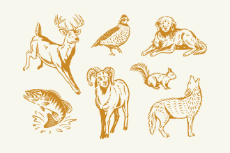draw an animal illustration with vintage line art style