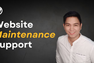 provide 30 day wordpress maintenance, audit, and support