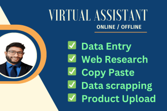 fastest data entry copy paste web research b2b data enrichment