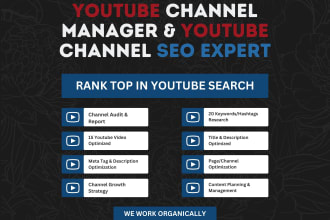 be your youtube channel manager and channel seo expert
