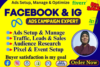 do facebook and instagram ads campaign expert