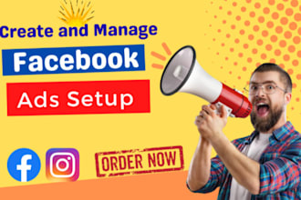 setup and run facebook ads campaign, instagram ads, sponsored ads, video ads
