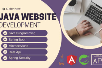 develop website using spring boot, java, spring mvc, rest api angular