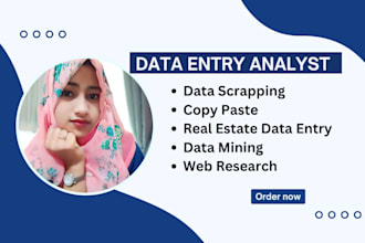 do data entry and copy paste job