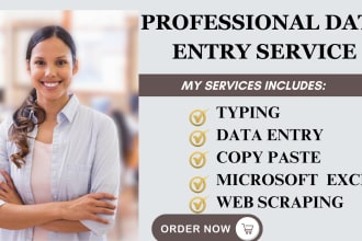 be your virtual assistant for data entry, typing copy paste and data collection