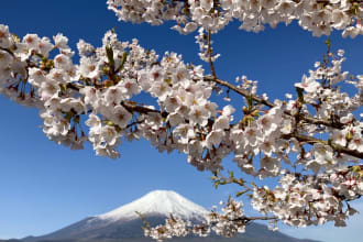 provide assistance to anyone interested in japan