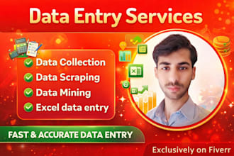 do fast and accurate data entry, data scraping, data mining and excel work
