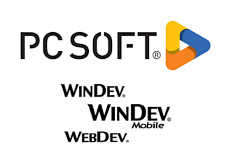 consultant sénior en gestion de projet ti et développeur windev