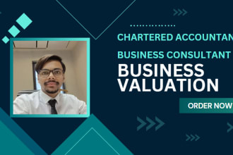 do business valuation, startup company valuation and financial analysis