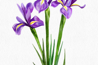 create watercolor realistic flowers painting