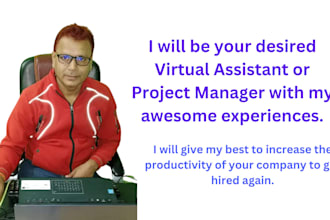 be professional virtual assistant or project manager