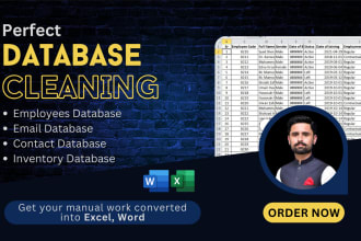 be excel contact database cleaning and formatting expert