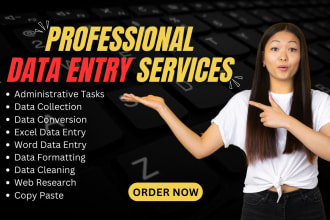 be fast and accurate data entry specialist in excel, word and more