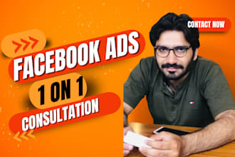 do expert facebook ads consultation 1 on 1