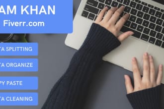 do fastest data scraping, data extraction, data entry work in 24 hours