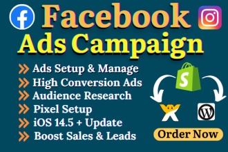 setup facebook ads campaign for leads and sales