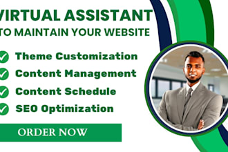 be wordpress virtual assistant to maintain content upload