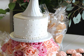 take photos for your resturant and website