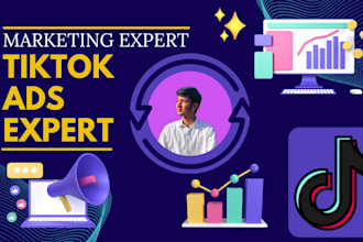 be your tik tok advertising expert and tiktok ads specialist