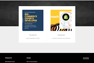 basic shopify store setup