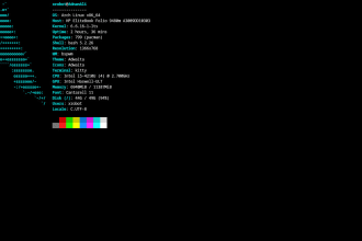 install arch with wm or de and other linux distros on your machine