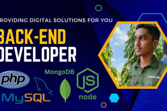 be your nodejs developer for backend web development