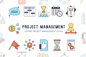 manage your IT projects