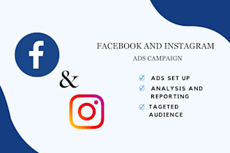 facebook and instagram ads campaign professionally