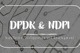 do development and configuration of dpdk and ndpi for you