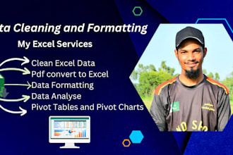 do excel data cleansing, formatting, data cleanup and remove duplicate data
