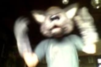 help celebrate anything as wolfie, sing happy birthday etc