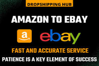 ebay and amazon drop shipping