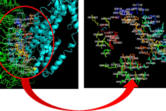do bioinformatics data analysis and scientific article writing