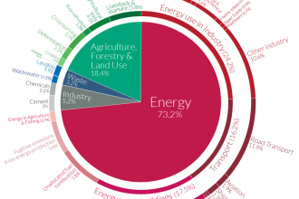 provide ghg emissions, life cycle assessment, health safety consultancy