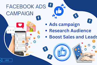 be your facebook ads campaign manager, run fb ads campaign