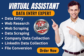 do excel data entry, lead generate, web research, wordpress