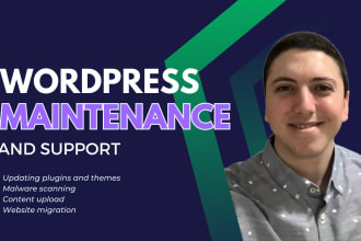 perform maintenance and support of your wordpress website