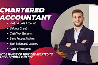 execute accounting and finance tasks in microsoft excel