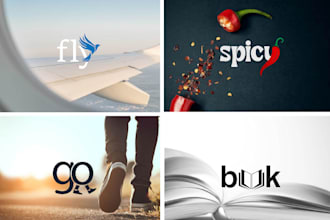 do eye catchy airline, aviation with original concept logo