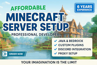 setup a professional minecraft server for you