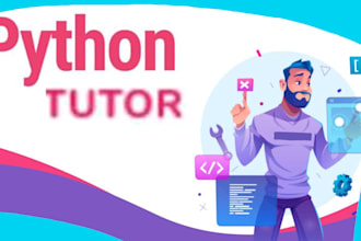 teach you python, basic and advance