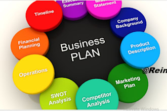 write a professional business plan, proposals for startups and investors