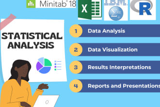 assist you in statistical analysis using spss, stata, r and excel