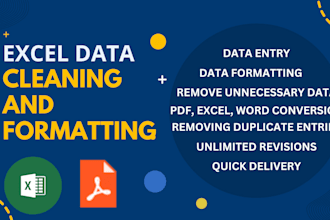 do excel data cleaning, data formatting, and data entry