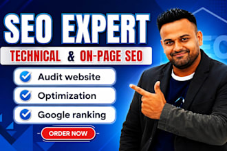 s,e,o expert, on page seo, off page geo, technical aeo, website audit